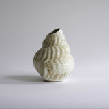 Konkylie Vase
