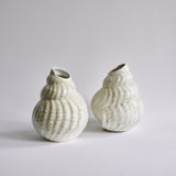 Konkylie Vase